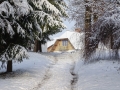 PM251124_07279_v1