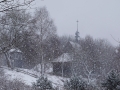PM260102_07381_v1