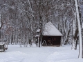 PM260102_07410_v1