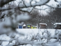 PM260102_705109_v1