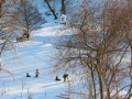 PM260103_R61875_v1