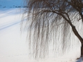 PM260103_R61879_v1
