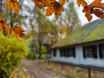 Miniaturka artykułu BEZPŁATNY DZIEŃ WSTĘPU