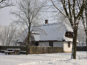 Miniaturka artykułu DZIEŃ BEZPŁATNEGO WSTĘPU