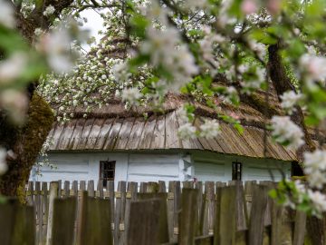 Miniaturka artykułu DZIEŃ BEZPŁATNEGO WSTĘPU