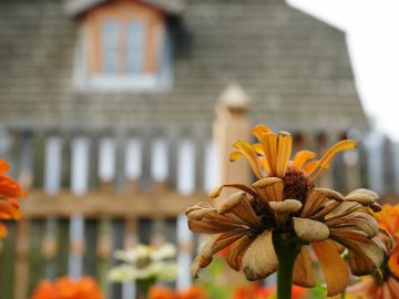 Miniaturka artykułu DZIEŃ BEZPŁATNEGO WSTĘPU