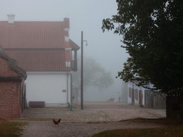 Miniaturka artykułu Mglisty poranek w Muzeum Wsi Lubelskiej