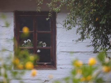 Miniaturka artykułu DZIEŃ BEZPŁATNEGO WSTĘPU