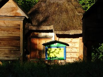 Miniaturka artykułu DZIEŃ BEZPŁATNEGO WSTĘPU