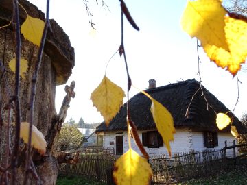 Miniaturka artykułu DZIEŃ BEZPŁATNEGO WSTĘPU