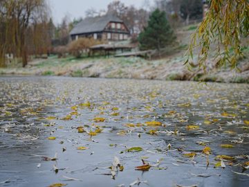 Miniaturka artykułu DZIEŃ BEZPŁATNEGO WSTĘPU