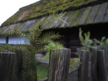 Miniaturka artykułu DZIEŃ BEZPŁATNEGO WSTĘPU
