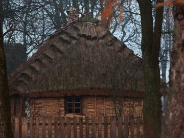 Miniaturka artykułu DZIEŃ BEZPŁATNEGO WSTĘPU