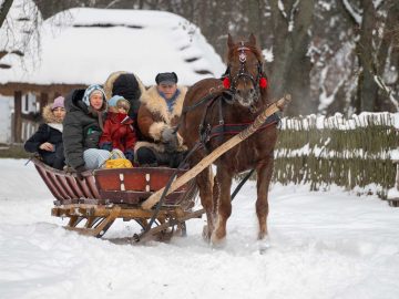 Miniaturka artykułu PRZEJAŻDŻKI SANIAMI