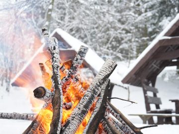Miniaturka artykułu PRZEJAŻDŻKI SANIAMI! ZAPRASZAMY OD WTORKU DO NIEDZIELI!