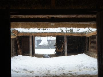 Miniaturka artykułu DZIEŃ BEZPŁATNEGO WSTĘPU