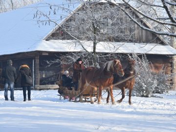 Miniaturka artykułu WEEKENDOWE ATRAKCJE W MUZEUM WSI LUBELSKIEJ