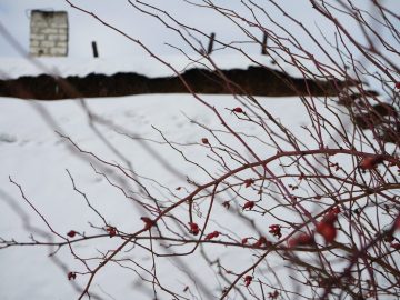 Miniaturka artykułu DZIEŃ BEZPŁATNEGO WSTĘPU