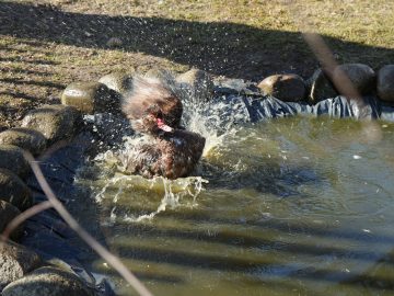 Miniaturka artykułu DZIEŃ BEZPŁATNEGO WSTĘPU