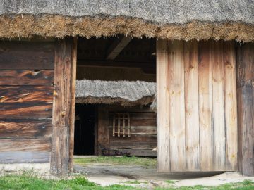 Miniaturka artykułu DZIEŃ BEZPŁATNEGO WSTĘPU