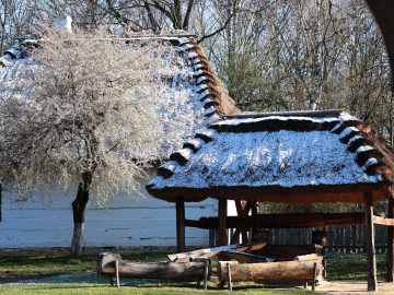 Miniaturka artykułu DZIEŃ BEZPŁATNEGO WSTĘPU