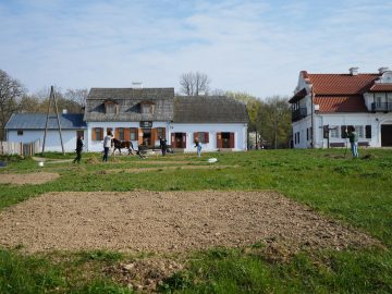 Miniaturka artykułu DZIEŃ BEZPŁATNEGO WSTĘPU