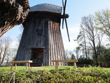 Miniaturka artykułu DZIEŃ BEZPŁATNEGO WSTĘPU