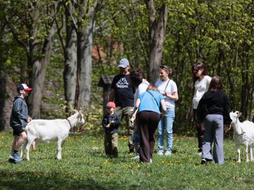 Miniaturka artykułu DZIEŃ BEZPŁATNEGO WSTĘPU