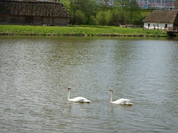 Miniaturka artykułu DZIEŃ BEZPŁATNEGO WSTĘPU
