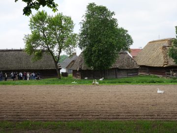 Miniaturka artykułu DZIEŃ BEZPŁATNEGO WSTĘPU