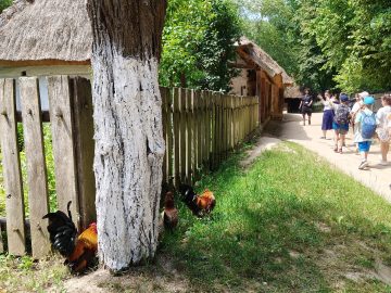 Miniaturka artykułu DZIEŃ BEZPŁATNEGO WSTĘPU
