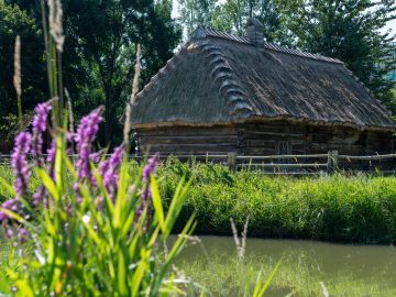 Miniaturka artykułu DZIEŃ BEZPŁATNEGO WSTĘPU