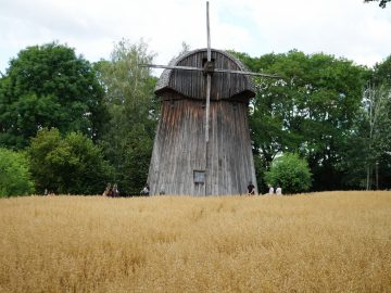 Miniaturka artykułu DZIEŃ BEZPŁATNEGO WSTĘPU