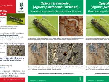 Miniaturka artykułu KOMUNIKAT Wojewódzkiego Inspektoratu Ochrony Roślin i Nasiennictwa w Lublinie
