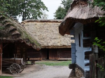 Miniaturka artykułu DZIEŃ BEZPŁATNEGO WSTĘPU