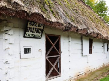 Miniaturka artykułu DZIEŃ BEZPŁATNEGO WSTĘPU